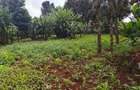 Land at Runda - 4