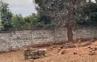 15 ac Land at Thika Road - 7