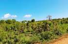 Land in Kikambala - 10