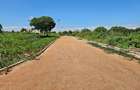 Residential Land in Tatu City - 6