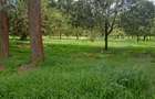 0.125 ac Residential Land at Thika Grove Chania-Opposite Blue Post Hotel - 14