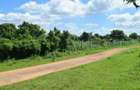 Residential Land in Vipingo - 9