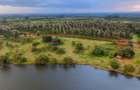 0.046 ha Land in Tatu City - 7