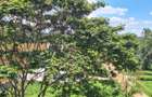 0.25 ac Residential Land at Tigoni - 4