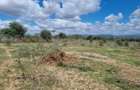 14 ac Land in Bisil - 4