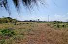 2.3 ac Land at Serena Mombasa - 5