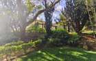 0.75 ac Residential Land at Kaputei Gardens - 2