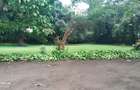 5 ac Land at Lower Kabete Road - 9