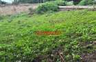 0.05 ha Commercial Land in Kikuyu Town - 7