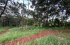 Land in Uthiru - 3