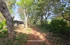 4.7 ac Land in Kitisuru - 2