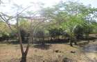 Land at Off Diani Beach Rd - 2