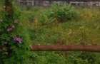 1.25 ac Land in Lavington - 7