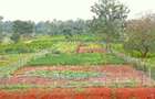 1,000 m² Residential Land at Oaklands Estate - 10