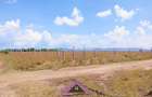 0.125 ac Land at Joska - 7