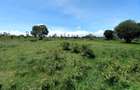 5 ac Land at Burguret - 3