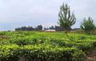 25 ac Residential Land at Riara Ridge - 3