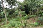 0.5 ac Land at Nandi Road - 12