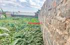 0.05 ha Residential Land at Karanjee - 2