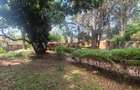Commercial Property with Fibre Internet in Kileleshwa - 3