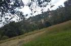 Residential Land at Kerarapon Road - 9