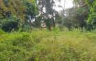 5 ac Land at Runda Paradise Off Kiambu Road - 1