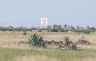 0.125 ac Land at Juja Farm - 11