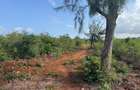 6 ac Land in Kilifi - 1
