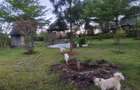 Land in Athi River - 7