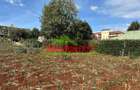 0.4 ha Land at Thogoto - 2
