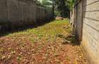 0.25 ac Land at Nyati Drive - 3