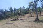 90 ac Land at Ridge - 9