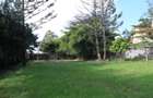 Residential Land in Lavington - 3