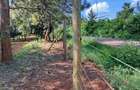 50 ft² Residential Land at Juja - 13