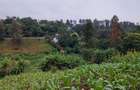 Residential Land at Kitisuru Ridge 44 - 15