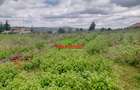 0.125 ac Residential Land at Migumoini - 8