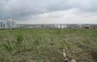10 ac Land at Sabaki Rd - 7