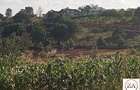 2.5 ac Land at Behind Thika Greens Estate - 6