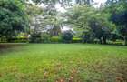 1.25 ac Land in Lavington - 8