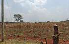 0.5 ac Land at Runda - 2