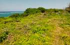 Land in Vipingo - 11