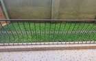 Serviced 2 Bed Apartment with En Suite at Westlands - 16