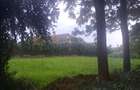 0.5 ac Land in Runda - 7