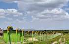 0.125 ac Residential Land at Kitengela - 7