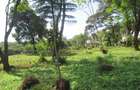 Residential Land at Ololua Ridge - 4