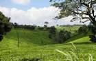 20 ac Land at Riara Ridge - 1
