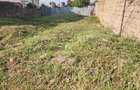Residential Land at Safari Park View Gate B - 2