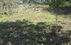 0.25 ac Residential Land in Ngong - 14