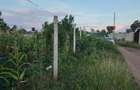 Land in Diani - 5