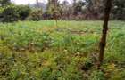 0.5 ac Residential Land in Kiambu Road - 4